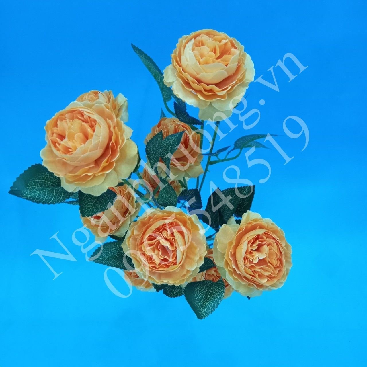 www.nganphuong.vn