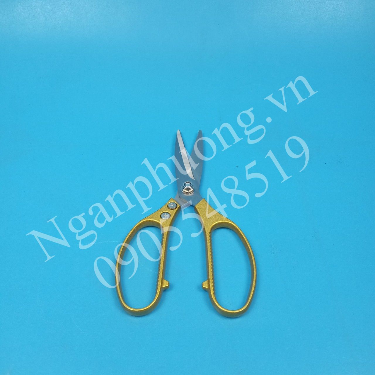 www.nganphuong.vn